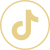 tiktok icon